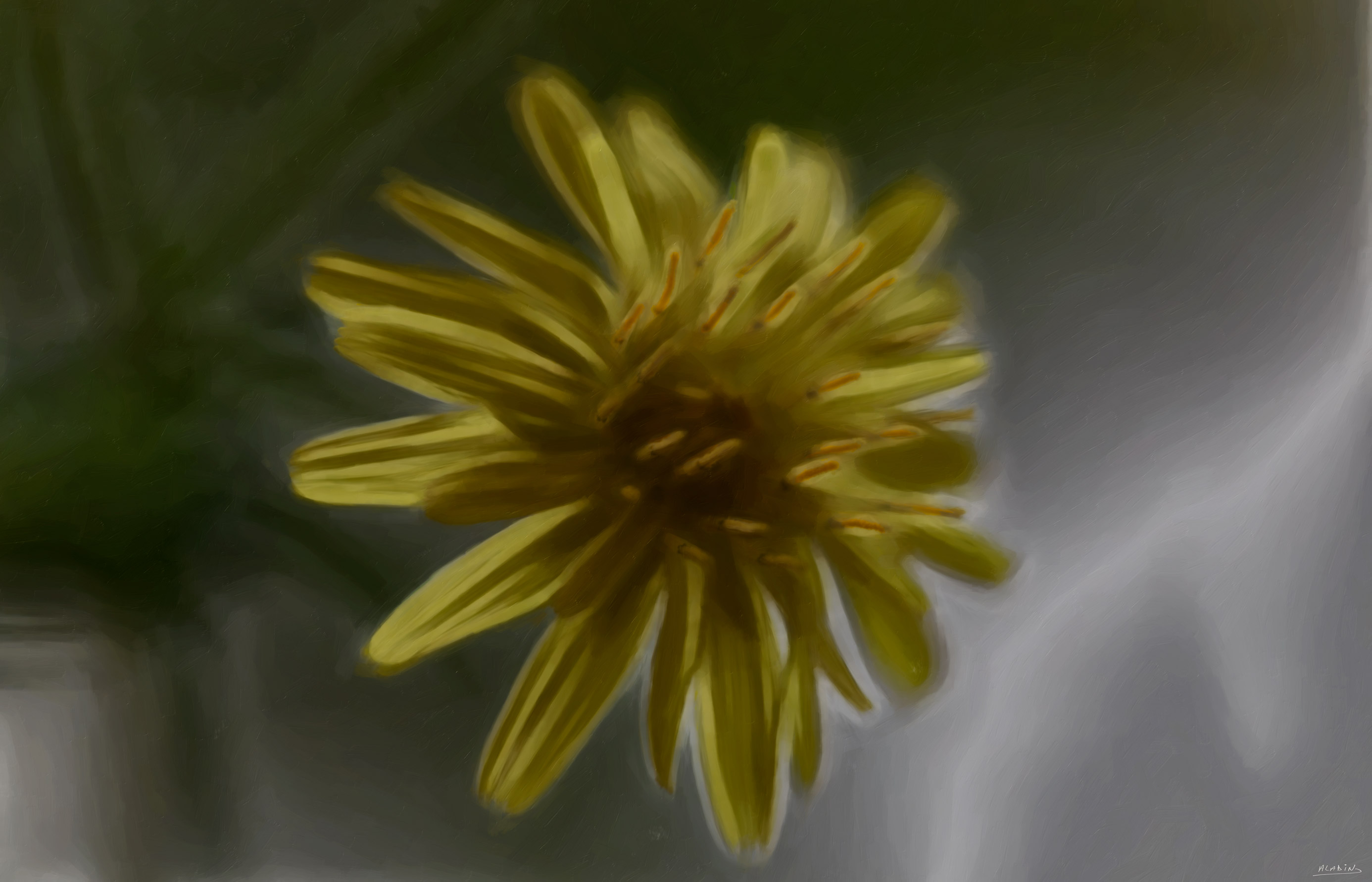 Espoir - still life wall art featuring Fine-art image of a single yellow flower glowing against a soft monochrome background