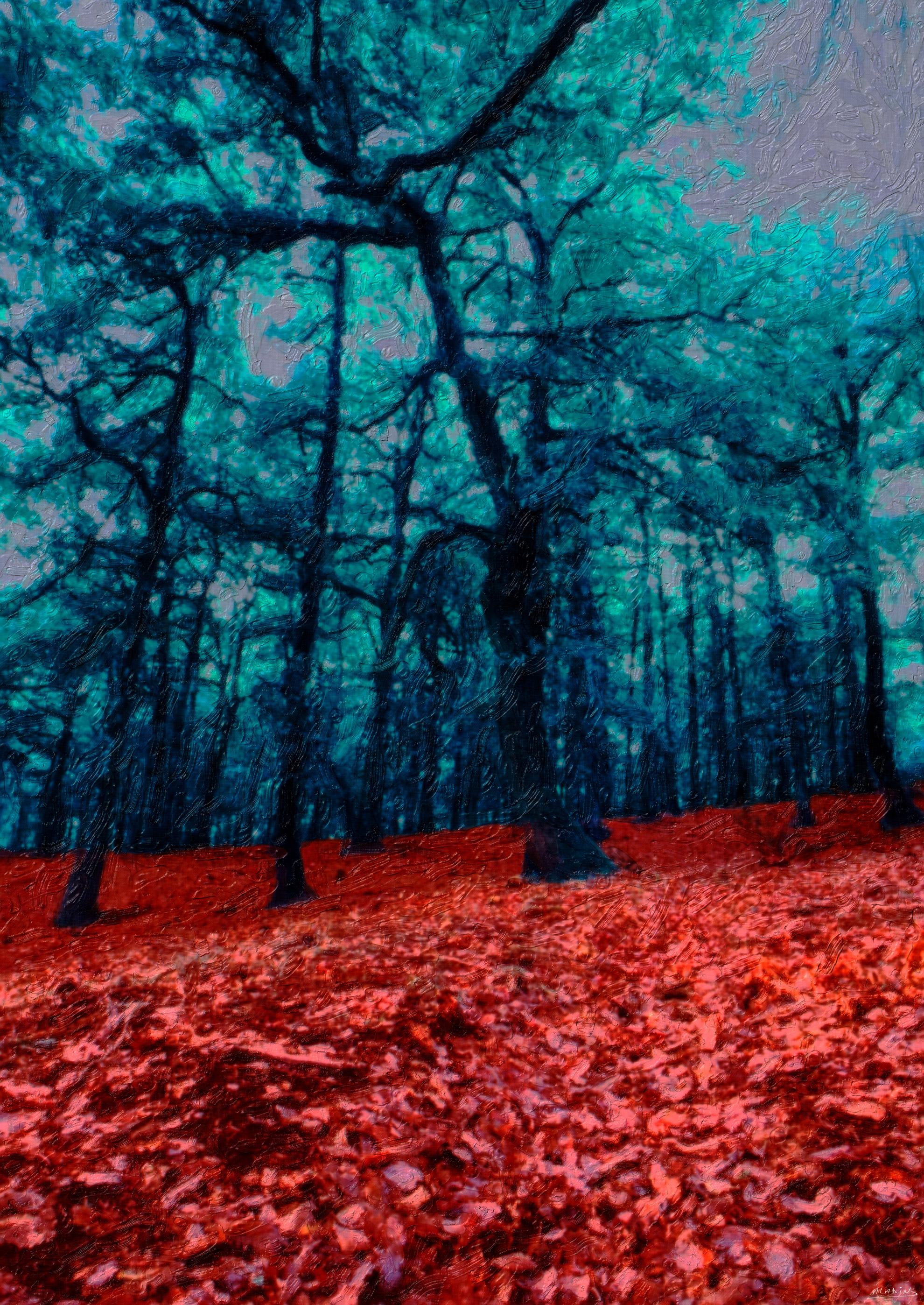 Forêt - still life wall art featuring Fine-art image of a forest floor covered with red autumn leaves beneath cool blue-green trees