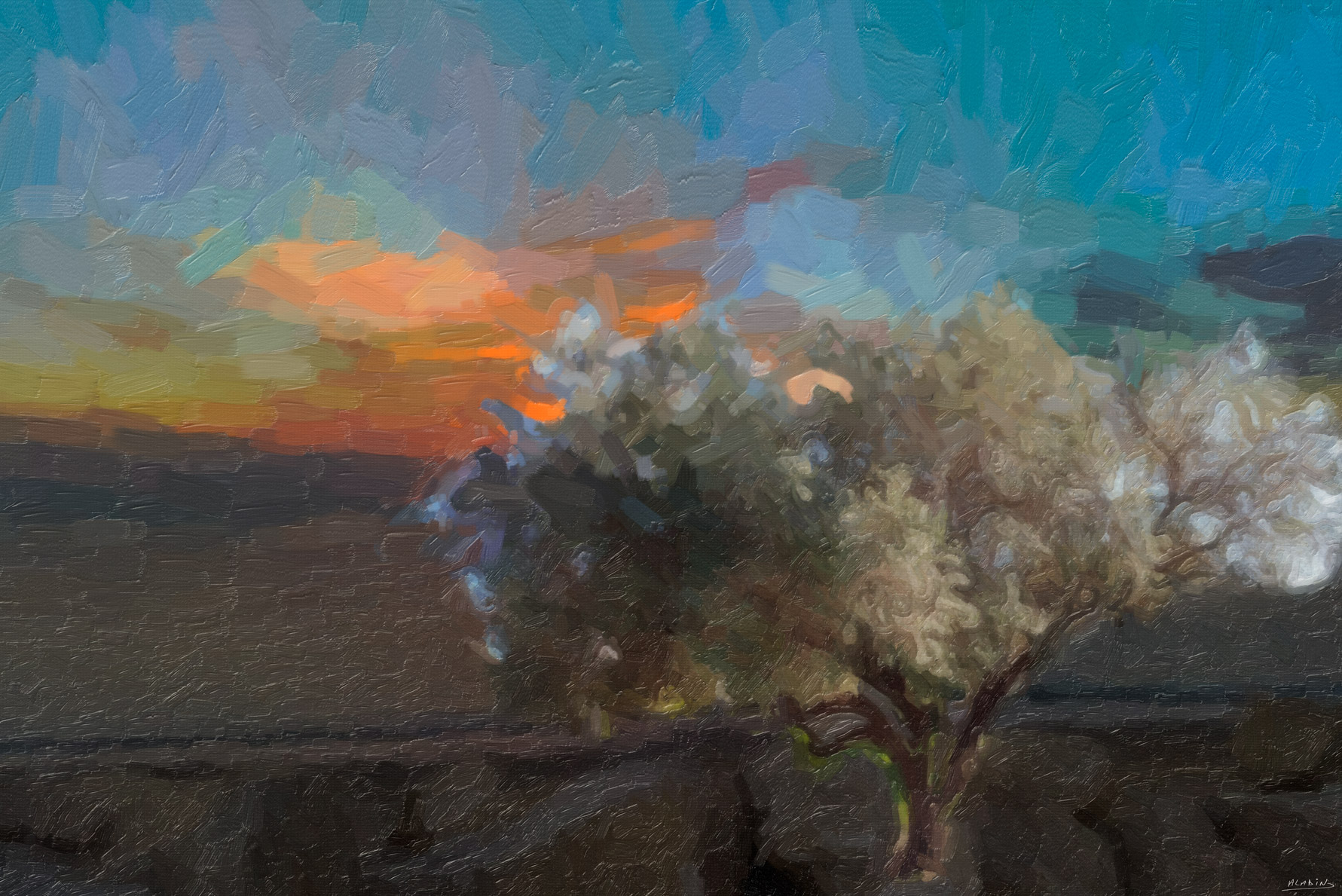 Olivier - still life wall art featuring Fine-art image of an olive tree silhouetted against a warm, atmospheric sky